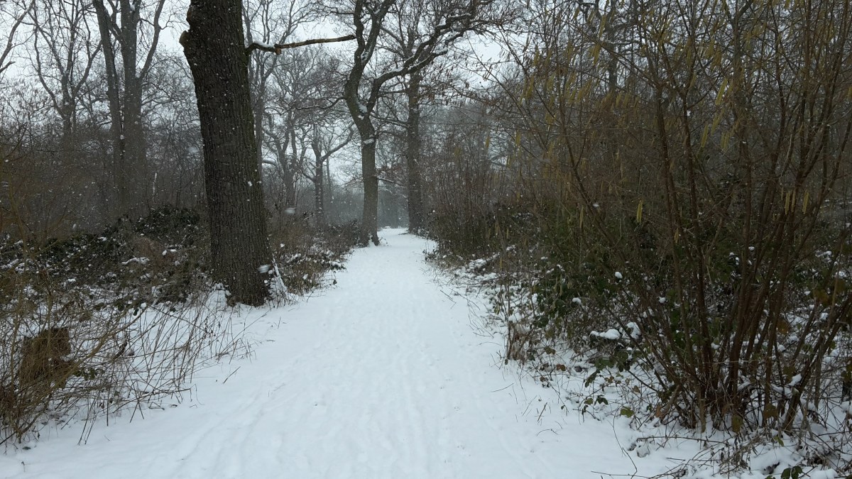 Stopping by Woods on a Snowy Afternoon